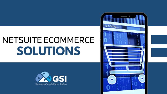 NetSuite Ecommerce Solutions | Integrations & More | GSI